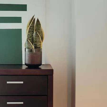 Racia - Apartman Viana do Castelo