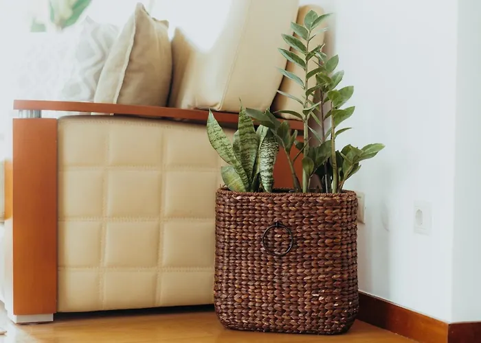 Racia - * Viana do Castelo